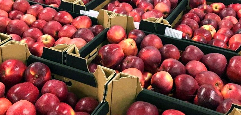 Unlocking Potential: African Markets in Apple Export