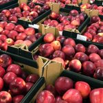 Unlocking Potential: African Markets in Apple Export