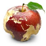 The Impact of Climate Change on Apple Production