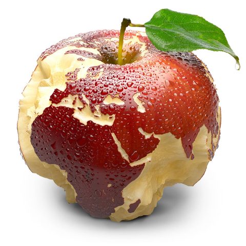 The Impact of Climate Change on Apple Production